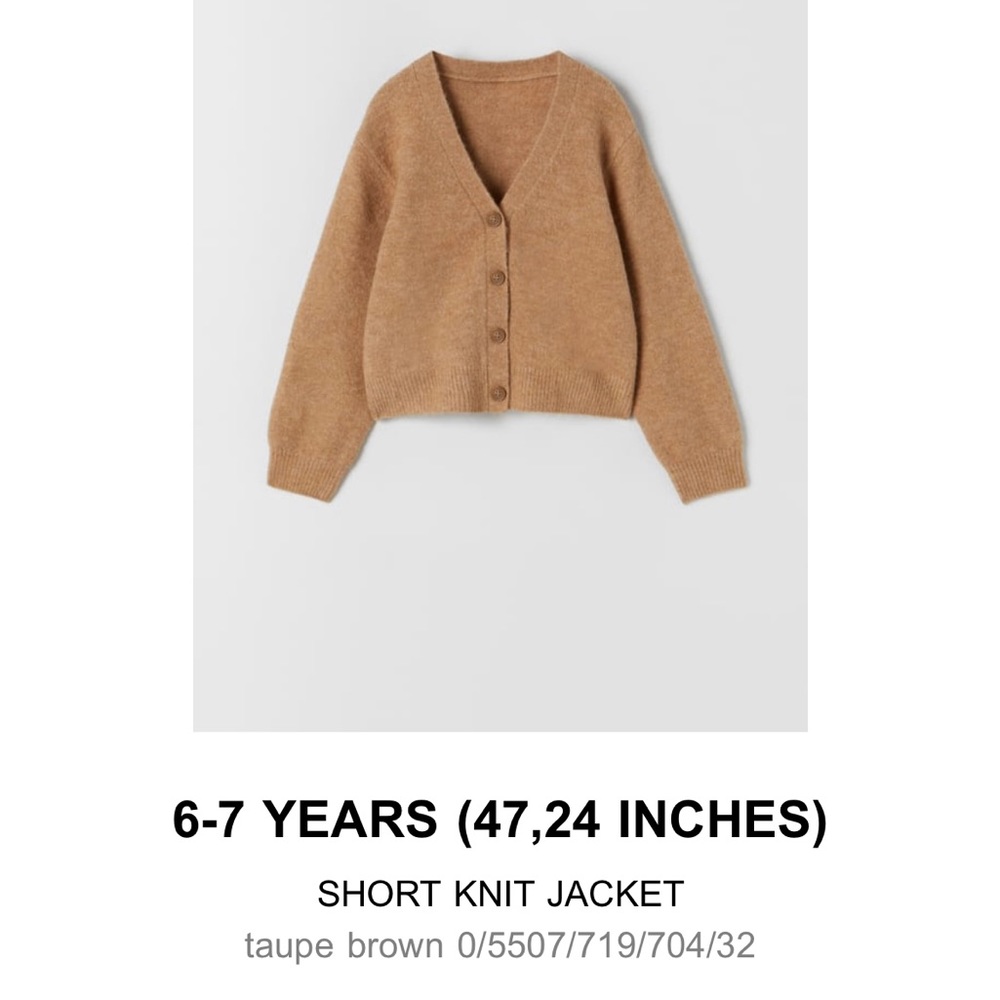 Zara knit sweater